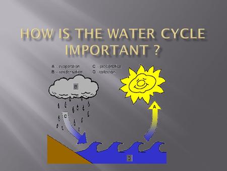 LAKESHA LUCIOUS  Precipitation  Evaporation  Condensation  Runoff.