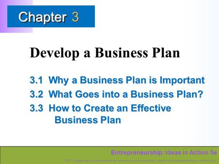 Entrepreneurship: Ideas in Action 5e © 2011 Cengage Learning. All rights reserved. May not be scanned, copied or duplicated, or posted to a publicly accessible.