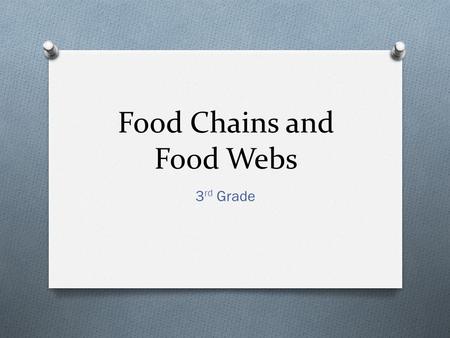 Food Chains and Food Webs