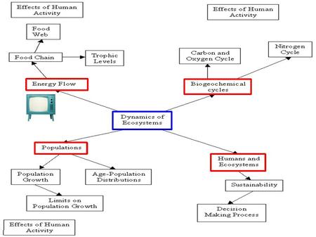 run-off absorption decomposition Cycling of Matter transpiration The water cycle.