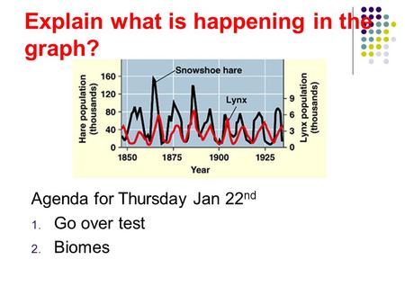 Explain what is happening in the graph?