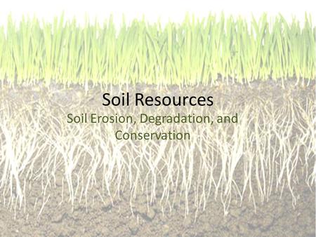 Soil Resources Soil Erosion, Degradation, and Conservation.