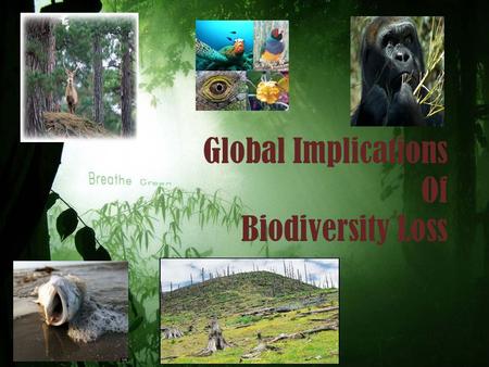 Global Implications Of Biodiversity Loss. INTRODUCTION BIODIVERSITY is the degree of variation of life forms within a given species, ecosystem, biome,