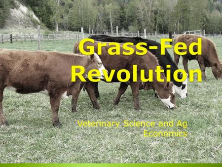 Veterinary Science and Ag Economics.  Each person eats on average 59.7 pounds of beef per year (2010)  Compared to: ◦48.0 pounds of pork ◦Approximately.