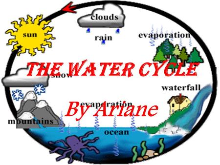 The Water Cycle By Ariane.