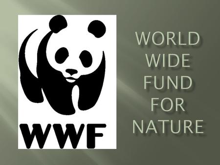 World Wide Fund for Nature