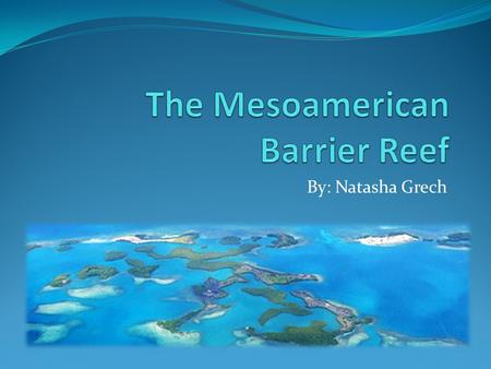 The Mesoamerican Barrier Reef