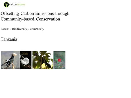 Offsetting Carbon Emissions through Community-based Conservation Forests - Biodiversity - Community Tanzania Marc Baker Co-ordinator - Carbon Tanzania.