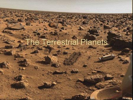 The Terrestrial Planets