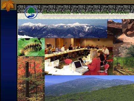 Roundtable on Sustainable Forests. Forests cover about 750 million acres -- more than a quarter of the entire United States -- and sustainable management.