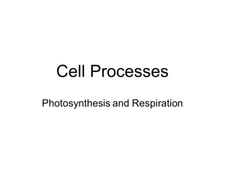 Photosynthesis and Respiration