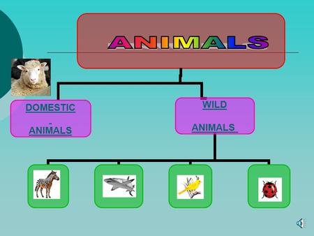 DE LA GRANJA DONKEYHORSEGOAT PIG RABBIT HEN ROOSTER CHICKENDUCKSHEEP MOUSEBULLCOWCATDOG.