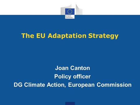 The EU Adaptation Strategy