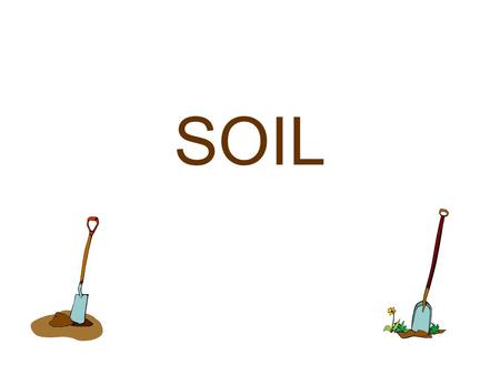 SOIL.