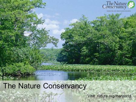 The Nature Conservancy Visit nature.org/maryland.