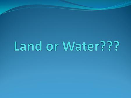 Land or Water???.