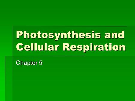 Photosynthesis and Cellular Respiration