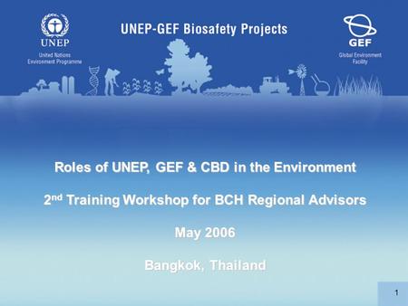 1 Roles of UNEP, GEF & CBD in the Environment 2 nd Training Workshop for BCH Regional Advisors May 2006 Bangkok, Thailand.