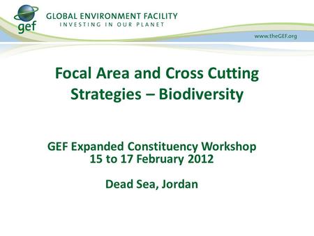 Focal Area and Cross Cutting Strategies – Biodiversity GEF Expanded Constituency Workshop 15 to 17 February 2012 Dead Sea, Jordan.