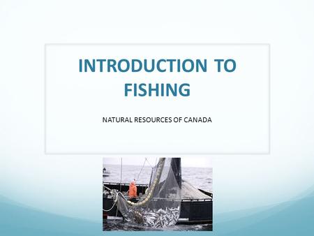 INTRODUCTION TO FISHING