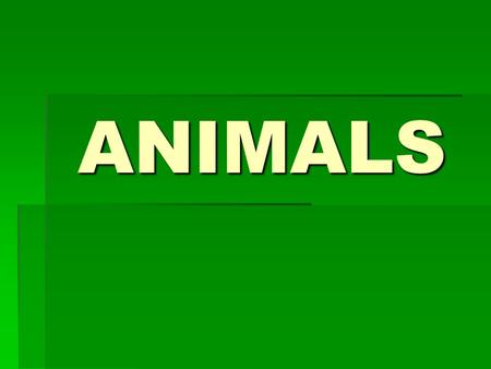 ANIMALS.