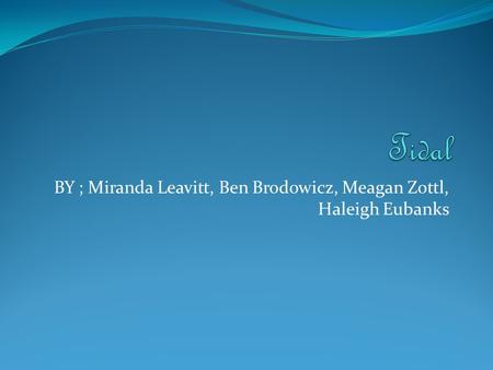 BY ; Miranda Leavitt, Ben Brodowicz, Meagan Zottl, Haleigh Eubanks.