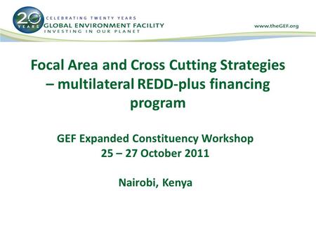 Focal Area and Cross Cutting Strategies – multilateral REDD-plus financing program GEF Expanded Constituency Workshop 25 – 27 October 2011 Nairobi, Kenya.