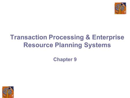 Transaction Processing & Enterprise Resource Planning Systems Chapter 9.