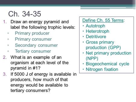 Ch Define Ch. 55 Terms: Autotroph Heterotroph Detritivore