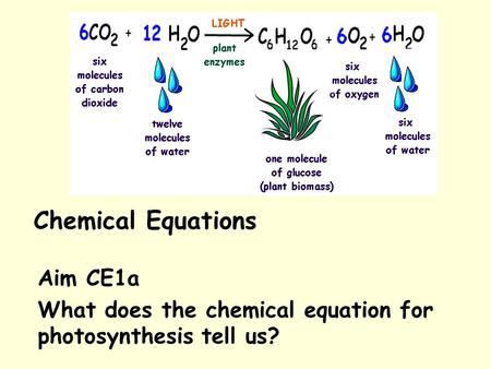 Aim CE1a What does the chemical equation for photosynthesis tell us?