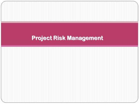 Project Risk Management