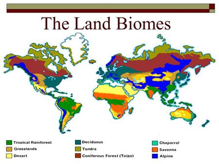 The Land Biomes.