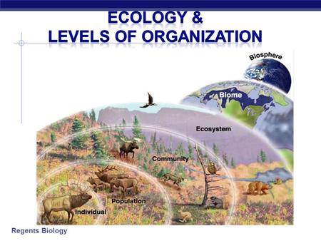 Regents Biology Ecology & Levels of Organization.