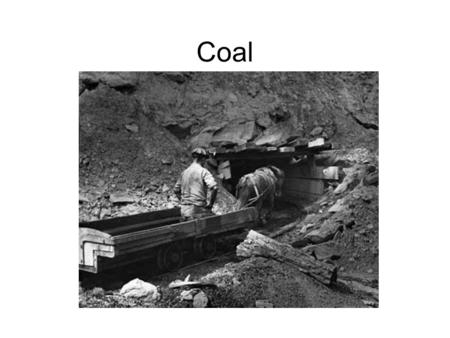 Coal. Coal Facts Most abundant fossil fuel –400 year supply 66% of known coal is located in the U.S. U.S. is 2 nd largest consumer of coal –China is 1.