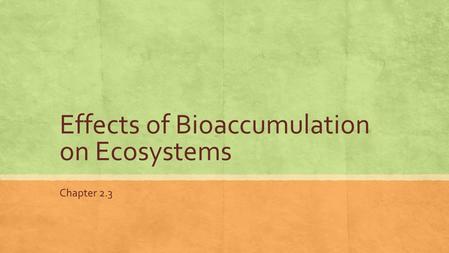 Effects of Bioaccumulation on Ecosystems