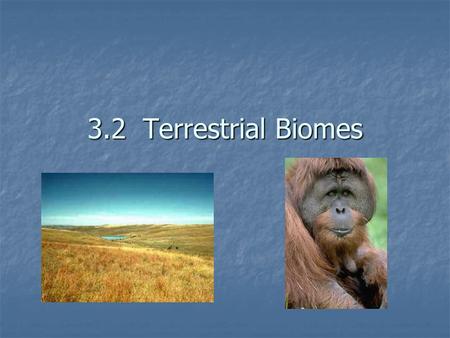 3.2 Terrestrial Biomes.