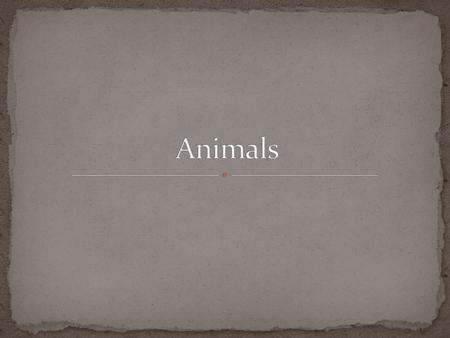 Its very long. Its color is green and black. Meal swallowed whole. Crawling on the ground. He lives in jungle. Eating monkeys and other animals. It is.