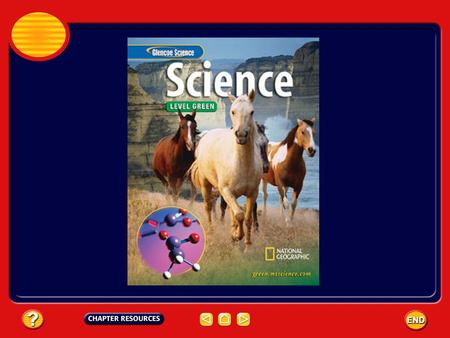 Chapter: Rocks Table of Contents Section 3: Metamorphic RocksMetamorphic Rocks Section 1: The Rock Cycle Section 2: Igneous RocksIgneous Rocks Section.