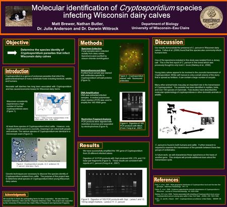 Molecular identification of Cryptosporidium species infecting Wisconsin dairy calves Department of Biology University of Wisconsin–Eau Claire Matt Brewer,