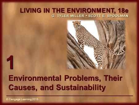 Environmental Problems, Their Causes, and Sustainability