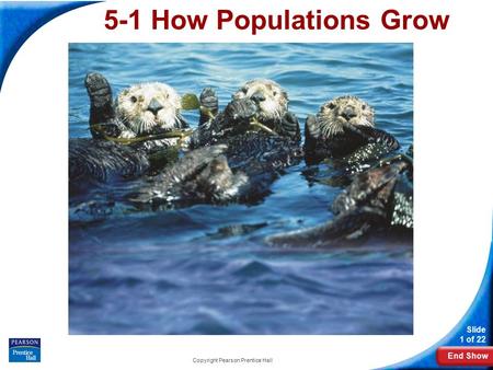 End Show Slide 1 of 22 Copyright Pearson Prentice Hall 5-1 How Populations Grow.