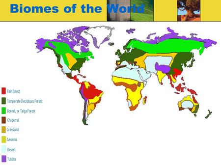 Biomes of the World.