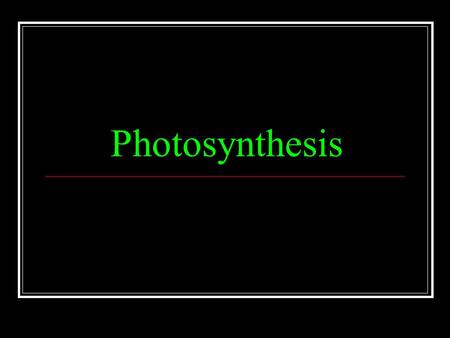 Photosynthesis.