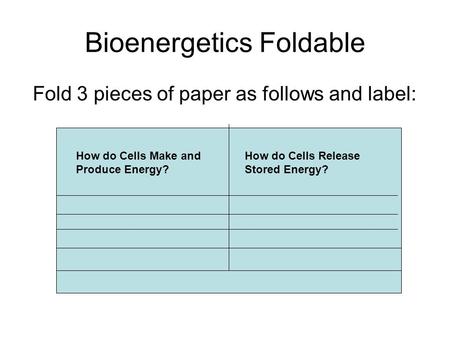 Bioenergetics Foldable