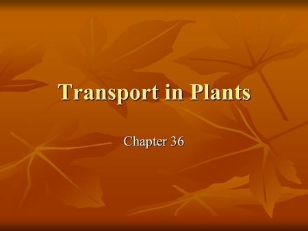 Transport in Plants Chapter 36.