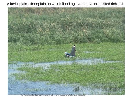 Alluvial plain - floodplain on which flooding rivers have deposited rich soil