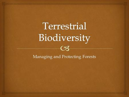 Managing and Protecting Forests.   More than a third of the land in the U.S. consists of publicly owned national forests, resource lands, parks, wildlife.