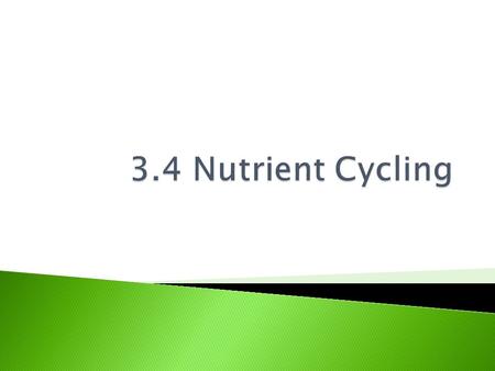  Anchor: BIO.B.4.2 Describe interactions & relationships in an ecosystem ◦ BIO.4.2.3: Describe how matter recycles through an ecosystem.