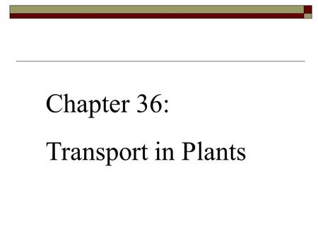 Chapter 36: Transport in Plants.