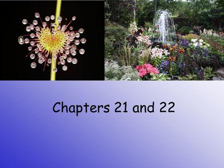 Chapters 21 and 22.